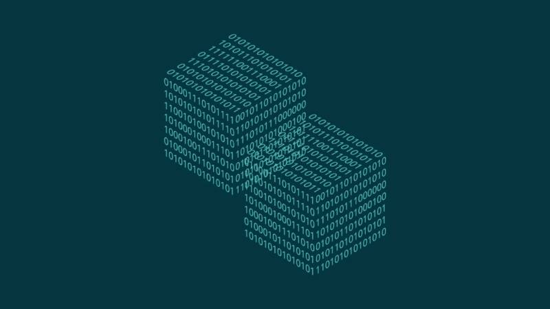 林甸县信创改造:网络应用开发流程标准化的核心路径与实践